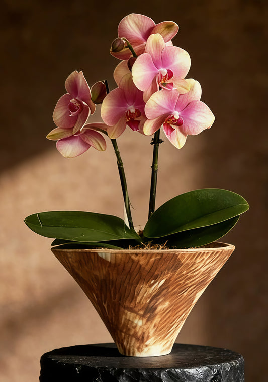 Ashmoor Wabi Clay Planter